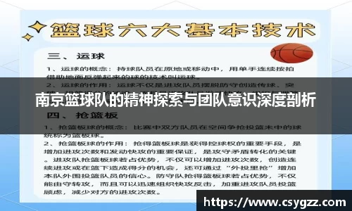 南京篮球队的精神探索与团队意识深度剖析