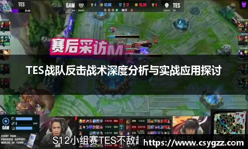 TES战队反击战术深度分析与实战应用探讨